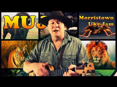 Animal - Neon Trees (ukulele tutorial by MUJ)