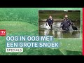 Duikbril op en flippers aan: duiken in Drenthe bij Engelgaarde | Spetterend Drenthe (5)