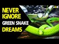 What does Green Snake Dream Meaning | Green Snake Dream interpretation | Dreaming of Green Snake