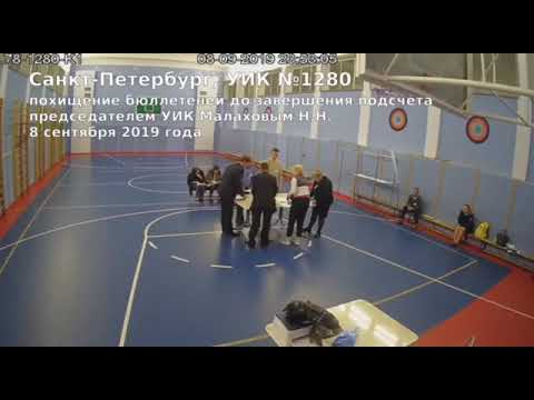 #выборыпитер.