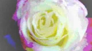 Mr. Capone-E~LaDy LaDy