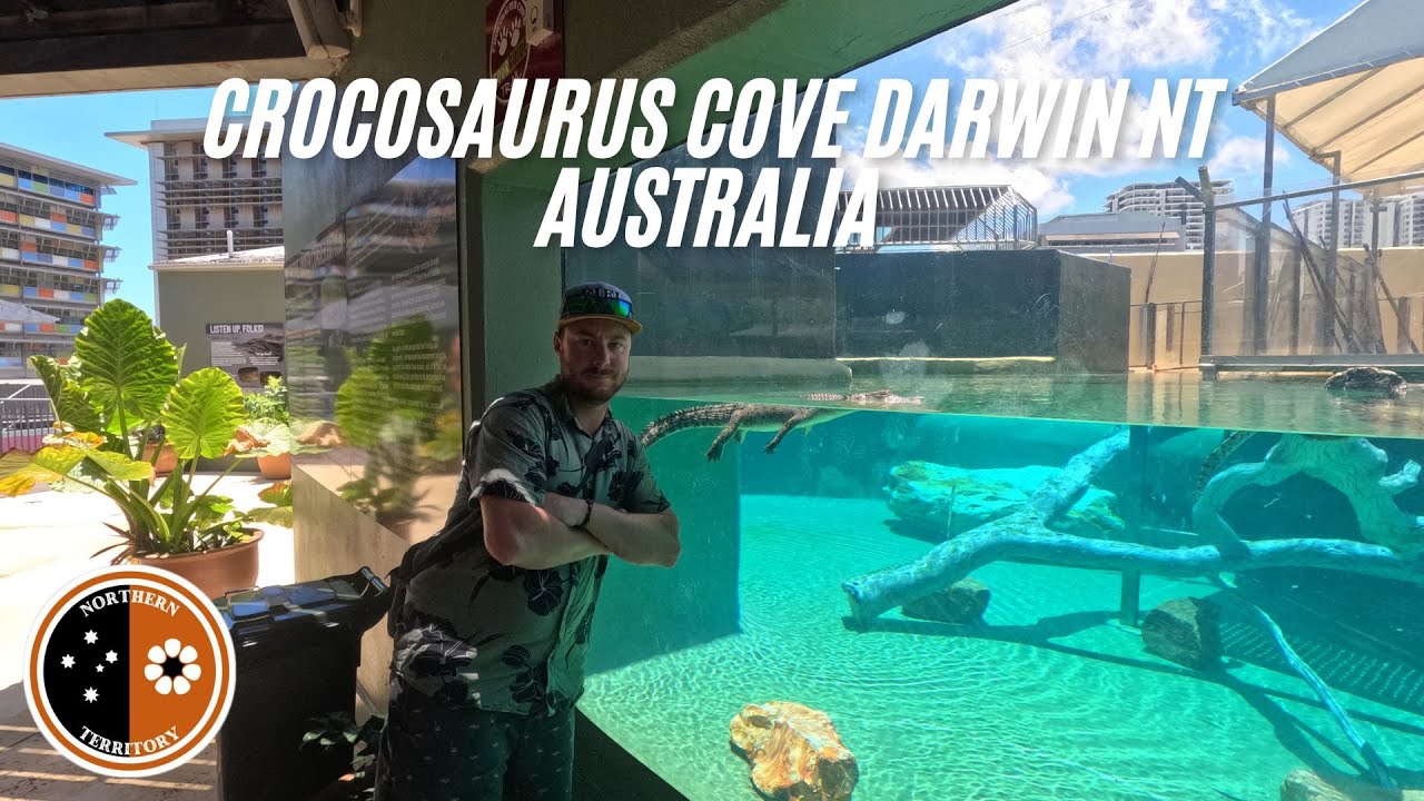 Join a traveler on a journey to Crocosaurus Cove.