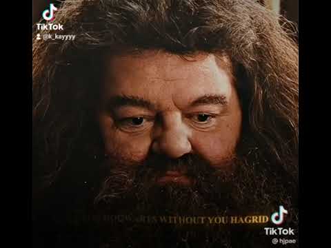 Rip Robbie Coltrane (Sweet Hagrid) 😭❤️👑