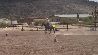 Mounted Shooting Horse Training
