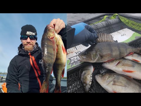 SYYSAHVENTA 2 | MUUTAMIA PUOL KILLOISIA JA HAUET KIUSAA!