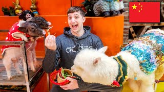 China Continues to Surprise Us! | SHOCKING Experience in Guangzhou! 🇨🇳