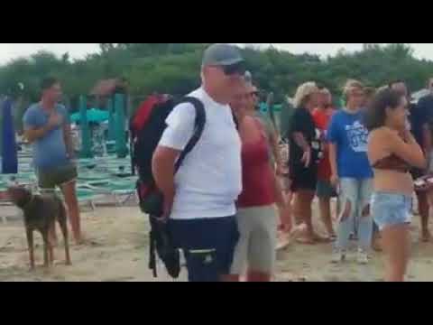 Squalo a pochi metri dalla riva a San Foca