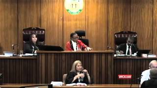 Pistorius trial: witness relates Reeva Steenkamp's last moments