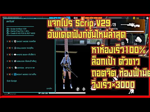 โปร ฟีฟาย