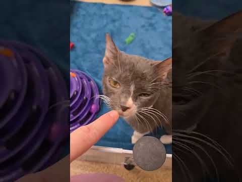 Look how coordinated Jeannette is getting!