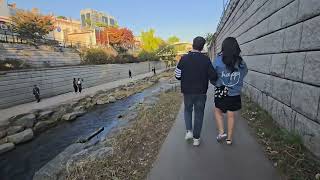 청계천변 산책 2024.11.10