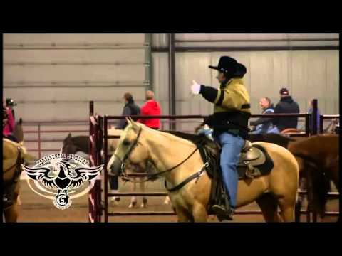 Robin Schoeller about Continental Saddlery