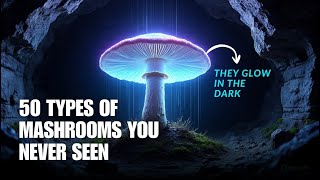 50 Types of Mushrooms: The Ultimate Guide to Identification, Edibility & Benefits