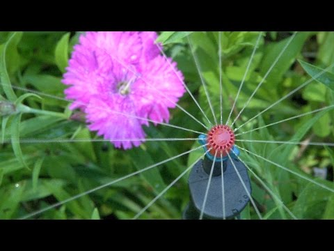 Antelco Two Piece Micro Irrigation Spray Jets