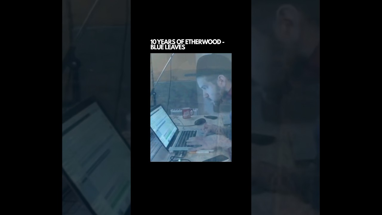 10 years of ​⁠Blue Leaves 🍁💙 @Etherwoodmusic‘s timeless LP still hitting like day one. #dnb