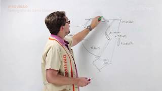 Geografia de Santa Catarina - Demografia de SC