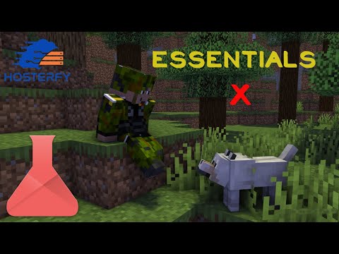 gamingtoine - [TUTO] How to Use EssentialsX on a Minecraft Server?  (Serv Series EP5)