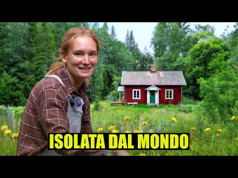 THE WOMAN WHO LIVES IN THE FOREST - thepillow