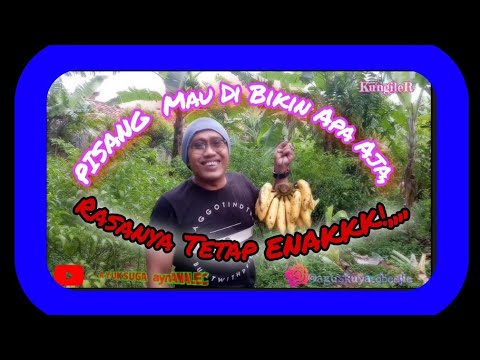 agus-kuya-pisang-nya-mau-di-olah-ama-sepisang-rasanya-jadi-enakkk