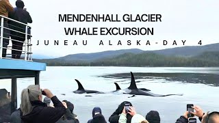 DAY 4- Mendenhall glacier and Whale Tour - NCL Bliss 7 Day Alaska Cruise excursions