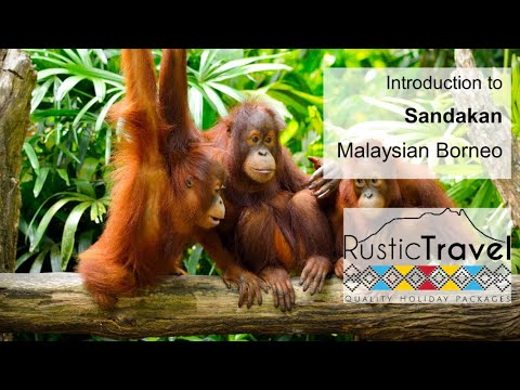Introduction to Sandakan, Malaysian Borneo - Rustic Travel