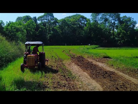 kerala nature status | Vibrant colours |sreerag| HD✨