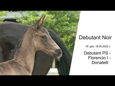 Hf v Debutant PS x Florencio I x Donatelli 2022