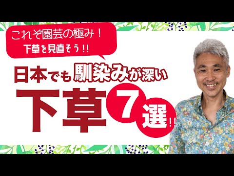 , title : 'これぞ園芸の極み！下草を見直そう！！日本でも馴染みが深い下草7選！！'