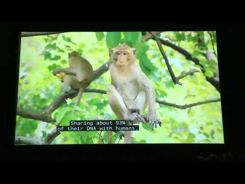 Double Jeopardy, Ryan Bilger Day 3 - Contestant changes their response ? Is that allowed?? (7/8/19)