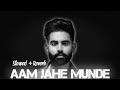 Aam Jahe Munde || slowed + reverb + lyrics + 16D || @BlushwithmeParmita