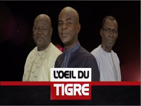 download lagu mp3 mp4 Oeil Du Tigre, download lagu Oeil Du Tigre gratis, unduh video klip Oeil Du Tigre