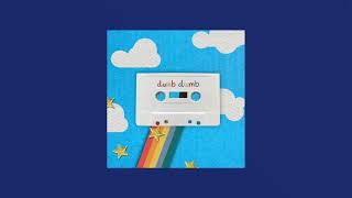 Cover art for dumb dumb >:(