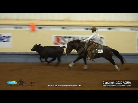 OPUS CAT OLENA RHB shown by MATT KOCH   2020 AQHA World Show RHC 5 6YO Working Ranch Horse