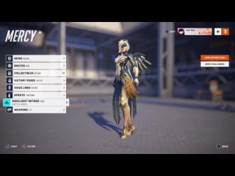 Overwatch 2 - Lunar Year 2023 Mercy New Skin Owl Guardian