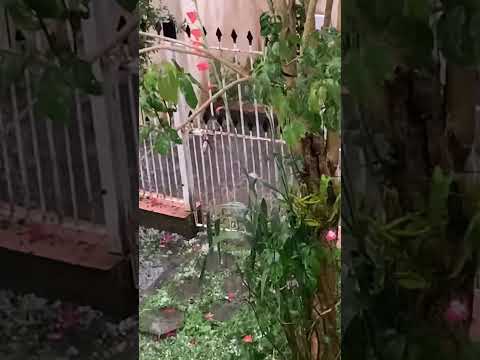 Meu Deus chuva forte com granizo em Piraquara PR