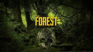 【THE FOREST 】#1 コメント不要！垂れ流すよ！【 ザ・フォレスト 】