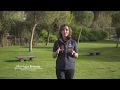 Robot Cortacesped Husqvarna Automower AM310 | Video
