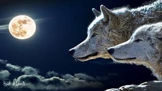 Ennio Morricone - Wolf ( the dream and the deer )
