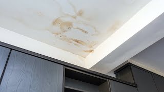 Common Causes of Water Stains on a Ceiling