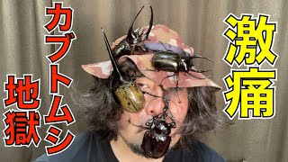 Attach YouTube