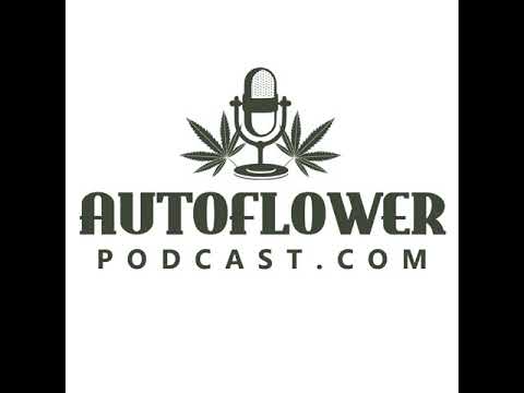 Episode 40: Growing Large Autoflower Cannabis w/ "YourHomeGrownBud"