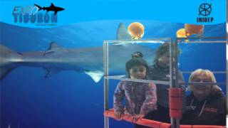 DIA 3 Expo Tiburon158