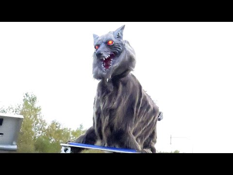 Robot ‘monster wolf’ sees off Japan’s aggressive bears