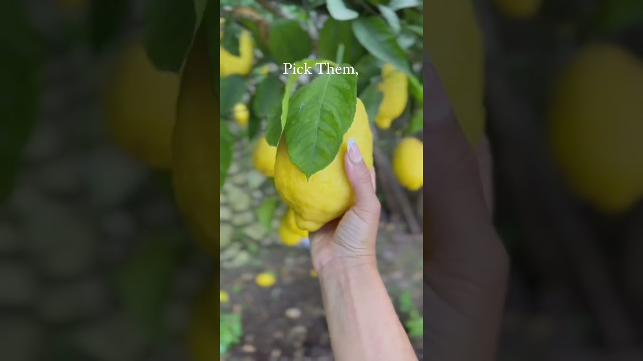 YouTube Short thumbnail