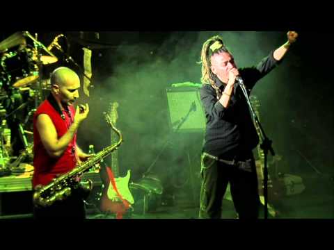 Radici nel cemento - Alla rovescia "live 2011"