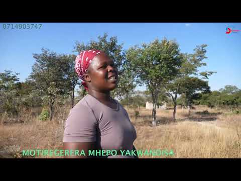 ZVIMBA........AKATORERWA MUKADZI NEMUKUWASHA - AMAI NEMWANA VOGARA NEMURUME MUMWECHETE [ PART 3]