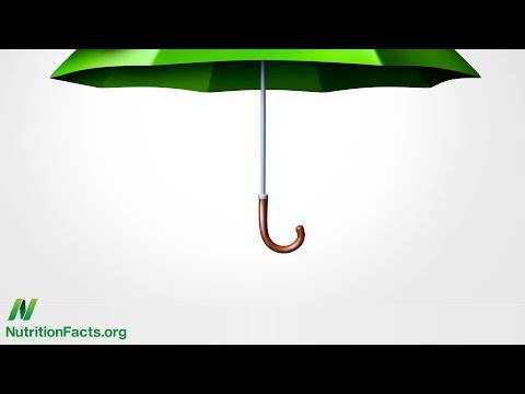 Plant Based Diets and Diabetes