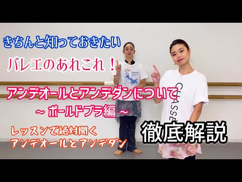ニコラ=アンリ・ジャルダンについて詳しく解説