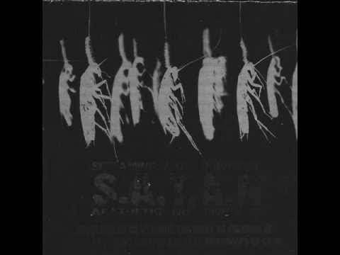 S.A.T.A.N. - Spectacular Crap About The Right Of Freedom...