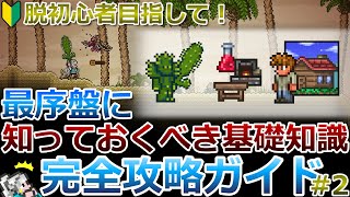 【テラリア】脱初心者講座！最序盤に知っておくべき基礎知識や、地下探索の適正装備などについて解説します！完全攻略ガイド#2